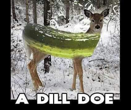 ☕️Deborah☕️ tweet media