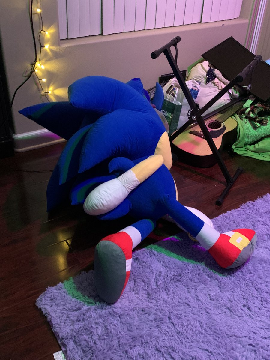 LSMark_'s tweet image. Came back from New York to find my Sonic in the Family Guy death pose