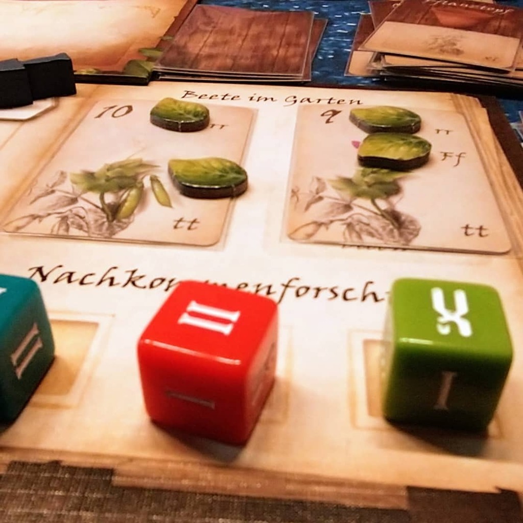 brettspiel_fan's tweet photo. #Rezensionsexemplar #Genotyp wieder gespielt und wieder eine tolle Zeit gehabt. Cooler Dice Drafting Mechanismus. #brettspiele #brettspiel #boardgames #fb https://t.co/2JTe8x3Zv8 https://t.co/v9p1tJhYIu