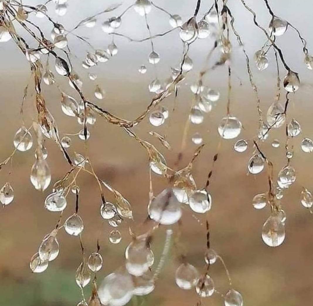 .....
Biz de 'bardaktan boşanırcasına akan' bir su ile göğün kapılarını açtık...

Kamer suresi:11.Ayet 

#yağmur 
#Cumartesi