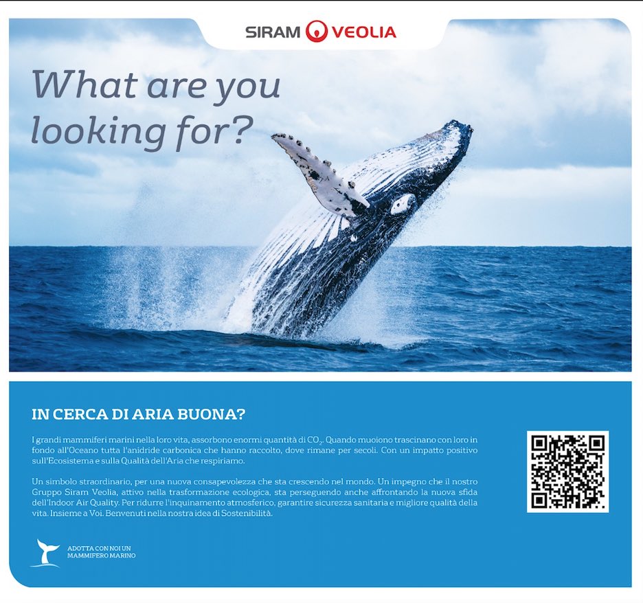 I grandi mammiferi marini 🐋 hanno un impatto positivo sull'intero ecosistema e sulla qualità dell'aria che respiriamo ✅: per questo #SiramVeolia li ha scelti tra i protagonisti di #whatareyoulookingfor?, un docufilm che uscirà il 30 novembre! Seguici per saperne di più ⤵️ ad