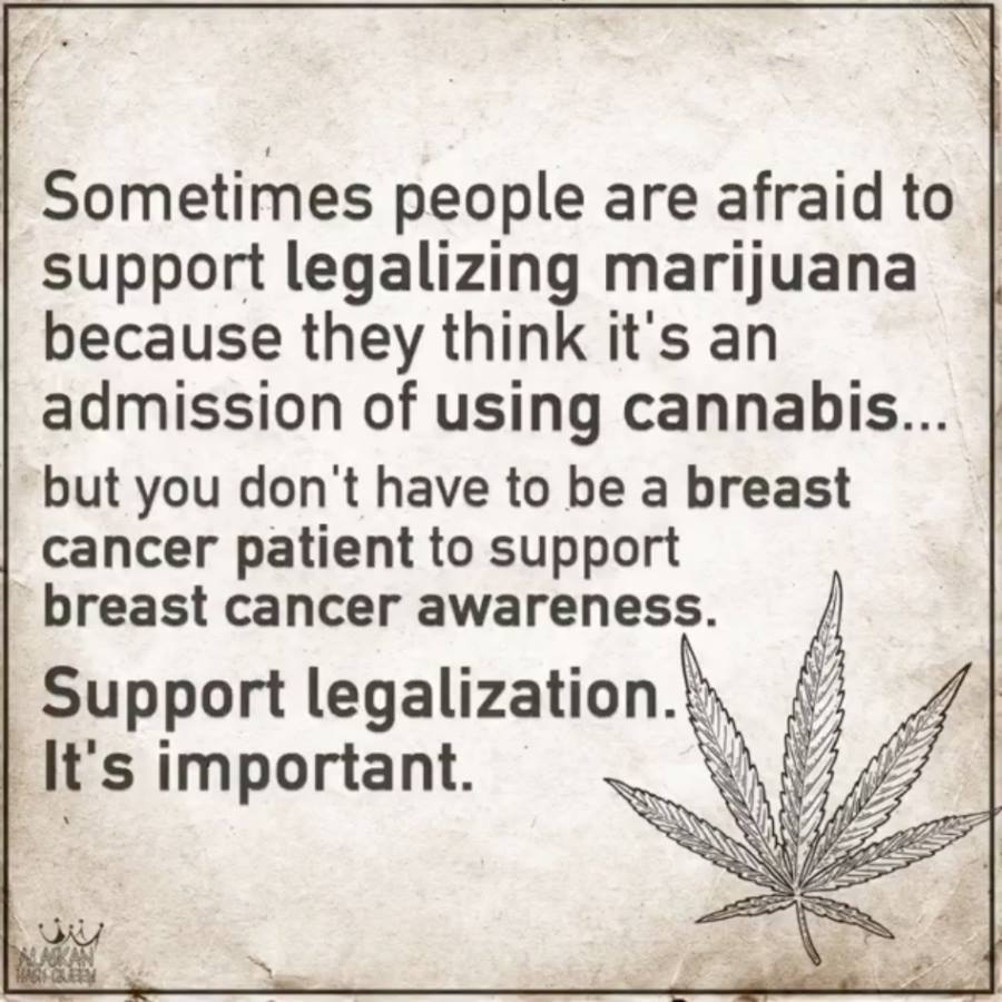 CannaWorld tweet media