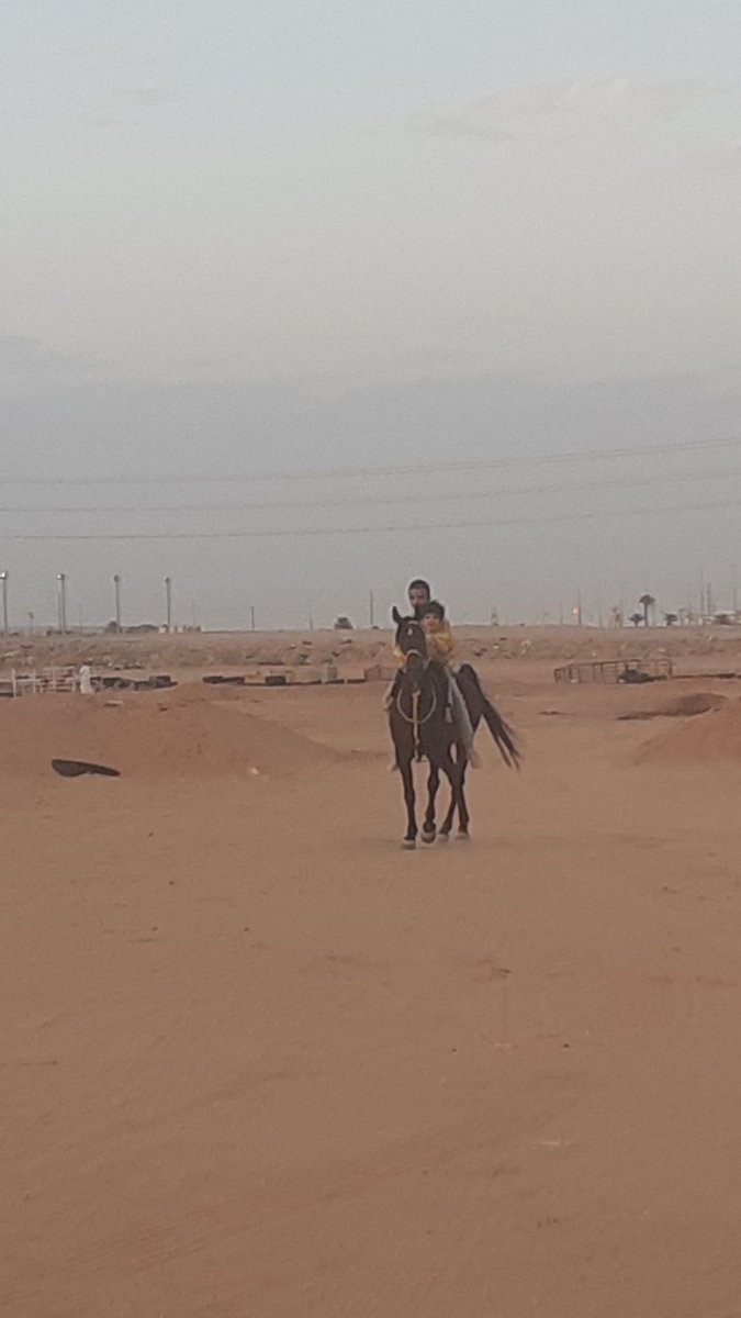 بدأت خولة برنامج لعلاج الشلل الدماغي بواسطة ركوب الخيل وذلك بعد الإطلاع على رسالة الماجستير للأخ العزيز
أ. بتال المطيري <a href="/albtly/">᷂أ. بـتّـال فـلاح المطيري ❤️ أبو طلال</a> مختص بصعوبات التعلم
وبعد أخذ مباركة د. سعاد العنزي <a href="/DrS_Alanzi67/">Dr Suad Alanzi</a> استشارية علاج طبيعي

طبعاً خولة لمن لا يعرف
تعاني من شد بالأطراف نتيجة نزيف دماغي