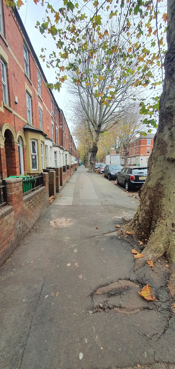 In the deep with leaf fall this week. Getting Radford Blvd cleared up. We are working our way round the ward with our teams, they are working very hard 👏 @chidiegenti <a href="/RealmPublic/">Green Space & Natural Environment</a> <a href="/KielMitchell2/">Kiel Mitchell</a>