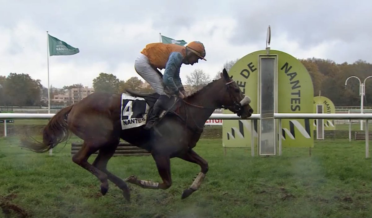gabiweissmann's tweet photo. Oops we did it again ! Ginja des Taillons (@YortonFarm Masterstroke) strikes again at Nantes with E.Manceau ! Thatโs now 4 winners from the last 7 starts for team @EAndigne . Congrats to team at home and connections ! #flyingform https://t.co/zrjUYAaNn1