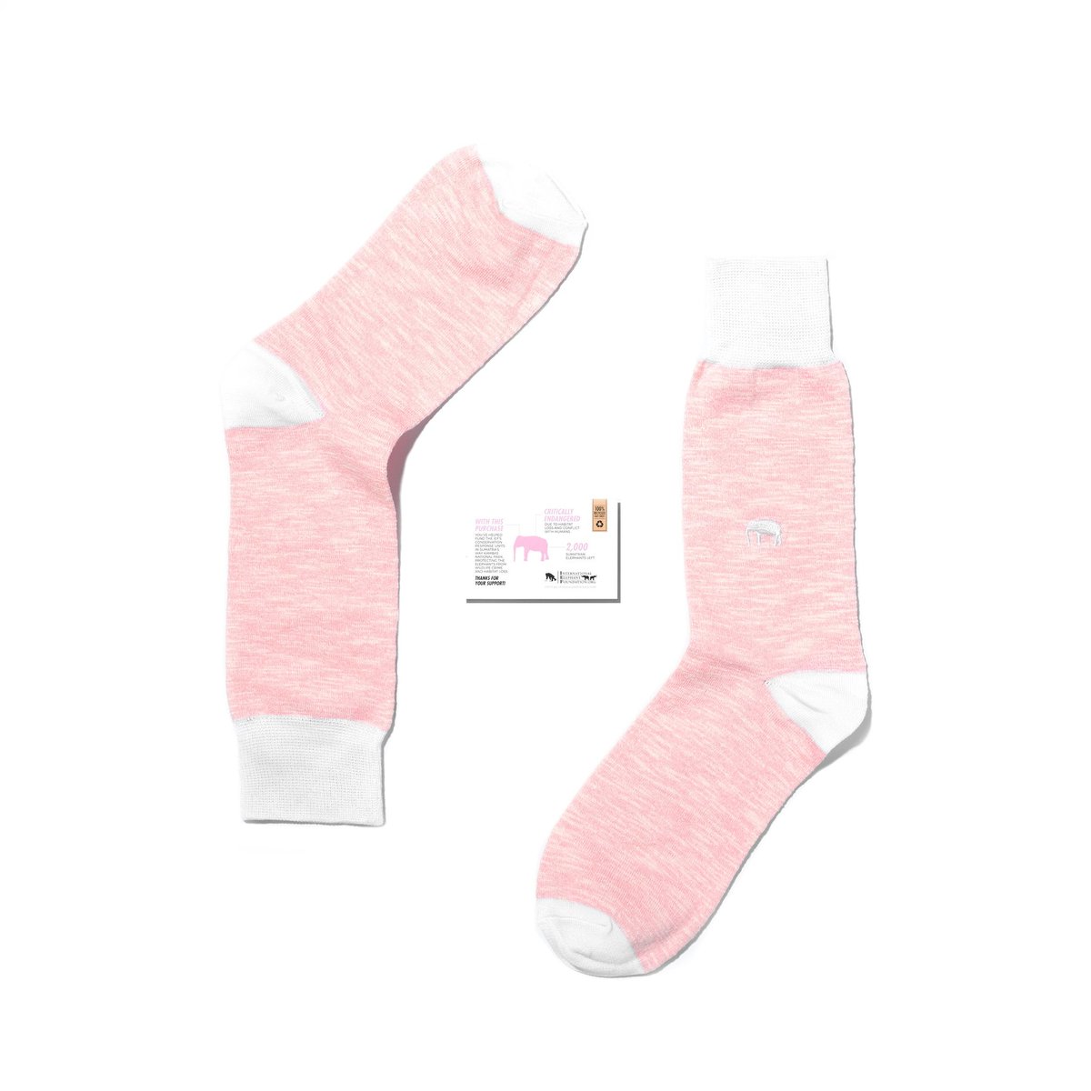 Critically Endangered Socks tweet media