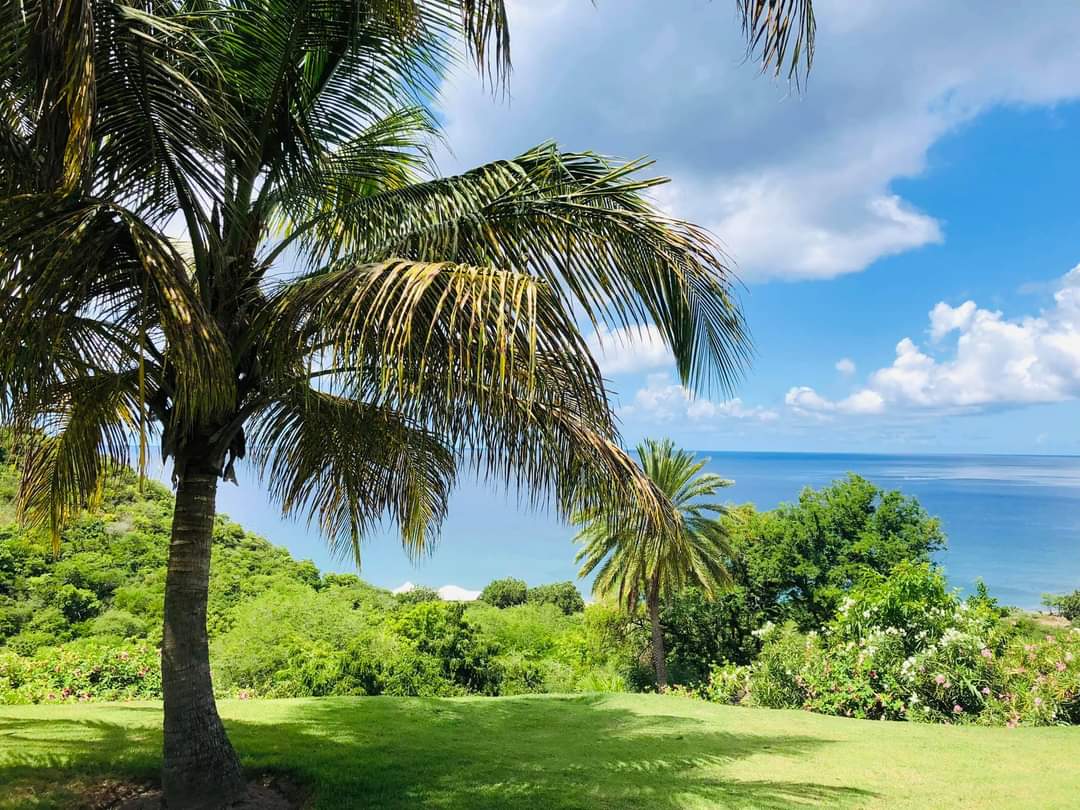 A Moderate Chance of Showers today, Saturday November 21, due to a Weak Frontal Trough &amp; the High Surf Advisory Remains in Effect for Montserrat!

Weather today: Partly cloudy with a 50% chance of showers.

Winds: East at 5 to 10 mph.

Seas: 5 to 8 feet with swells of 6 feet.