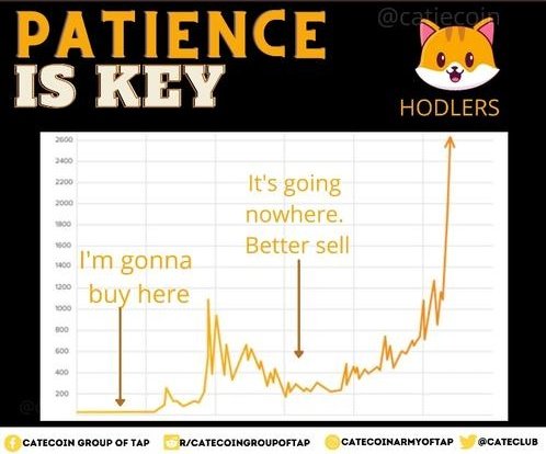 DrCryptooo's tweet photo. Patience is key. 

If you want to get rich, you must have patience.

Catecoin is just beginning. The new exchange listings and the play2earn game are coming. 

The cat is having a long run for the big jump🚀

#catecoin #CateArmy #TAParmy @Trader4lyf https://t.co/qG2Vncs3rX