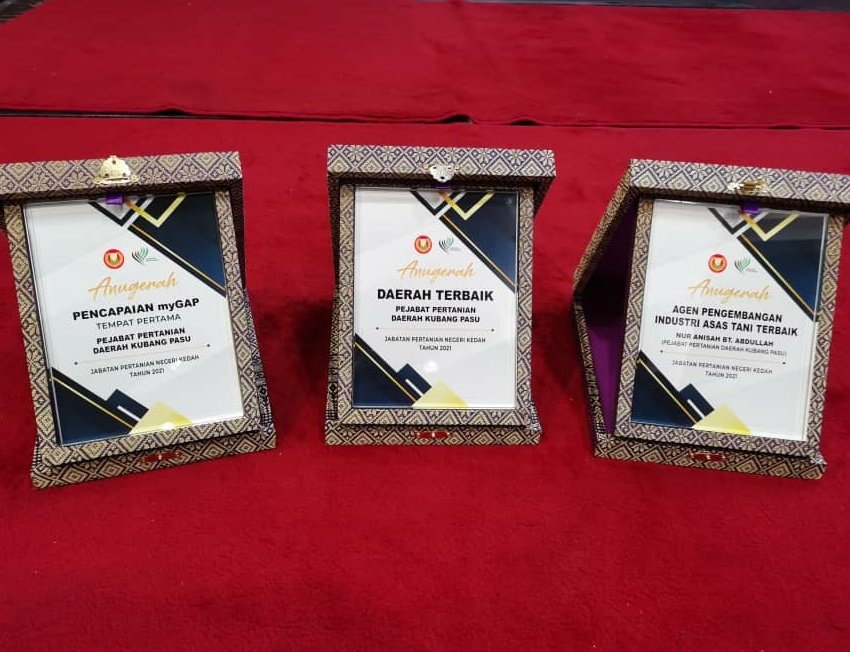 DOAkubangpasu's tweet photo. 24 Nov 2021 Majlis Apresiasi 2021 Jabatan Pertanian Negeri Kedah
Tahniah Dearah Kubang Pasu bawak pulang 3 Anugerah
#myDOA #TeamDOA #PertanianBandar #PertanianBandarDOA
#TeamMafi #MAFIMalaysia
#MAFIPrihatin #KeluargaMalaysia #KeluargaDOA 
#FoodSecurity https://t.co/IlTEWOiPxp
