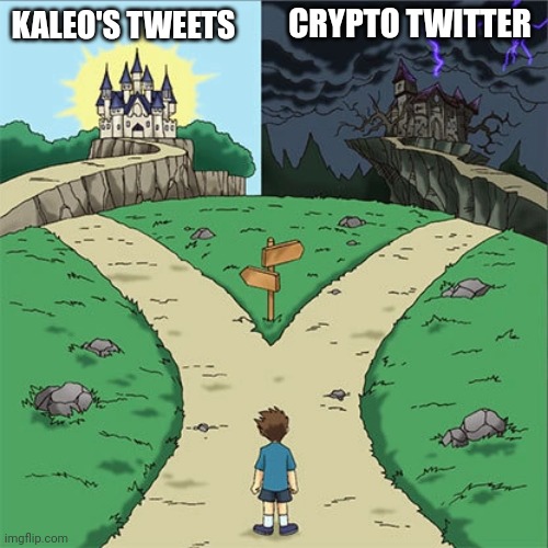 The Crypto Dog 📈 tweet media