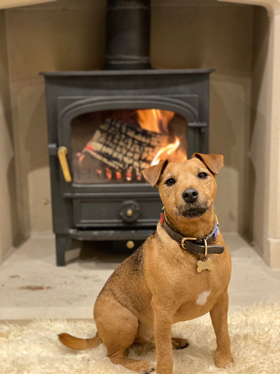 Cmackness's tweet image. What would like be without man’s best friend?