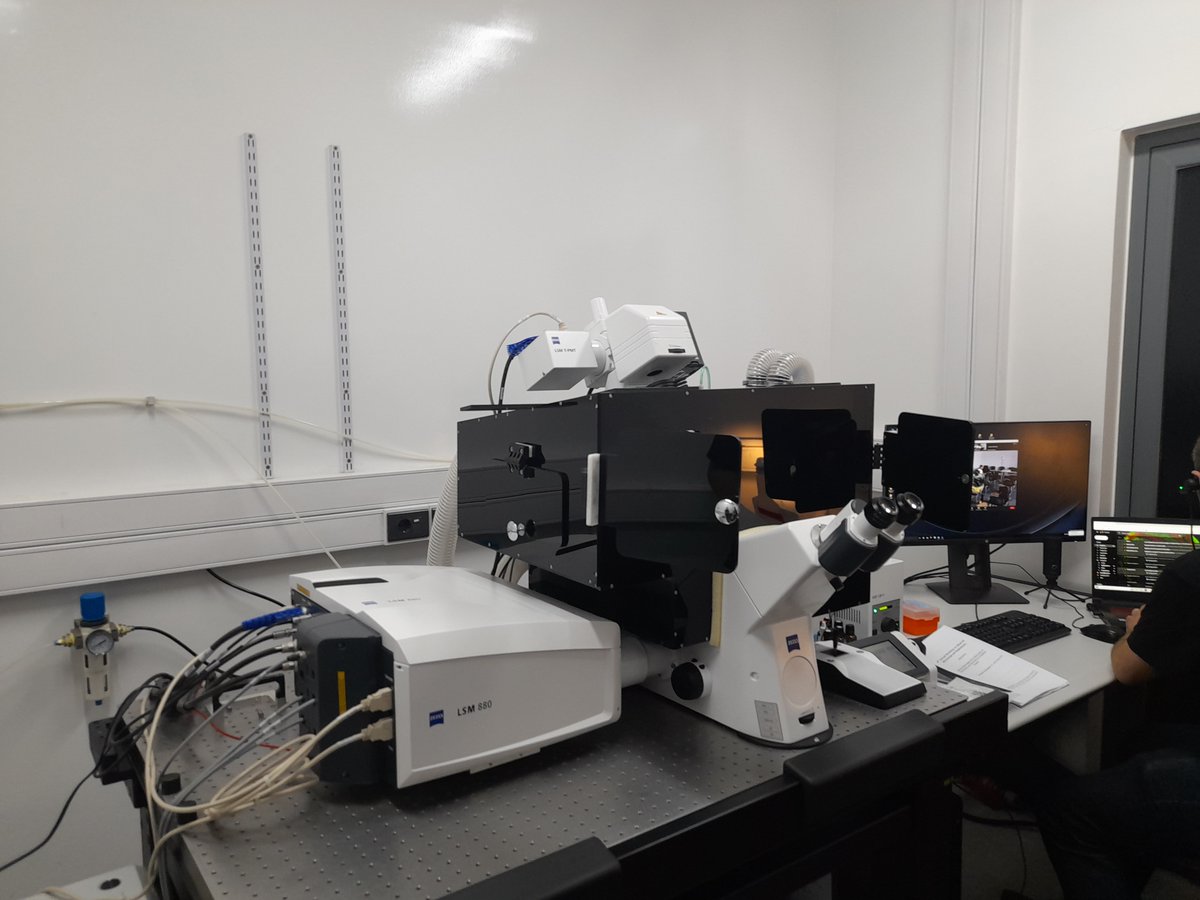 belen_ben843's tweet photo. Very happy to have participated in the 3rd Workshop on Advanced Microscopy and Biophotonics. Amazing international speakers with the latest news on #FLIM #Phasors #FCS #DeepTissueImaging #FRET.
Thanks @MalacridaLab, @advanced_unit, @hcmquintela and @IPMontevideo
by organization. https://t.co/GEja26qwf8