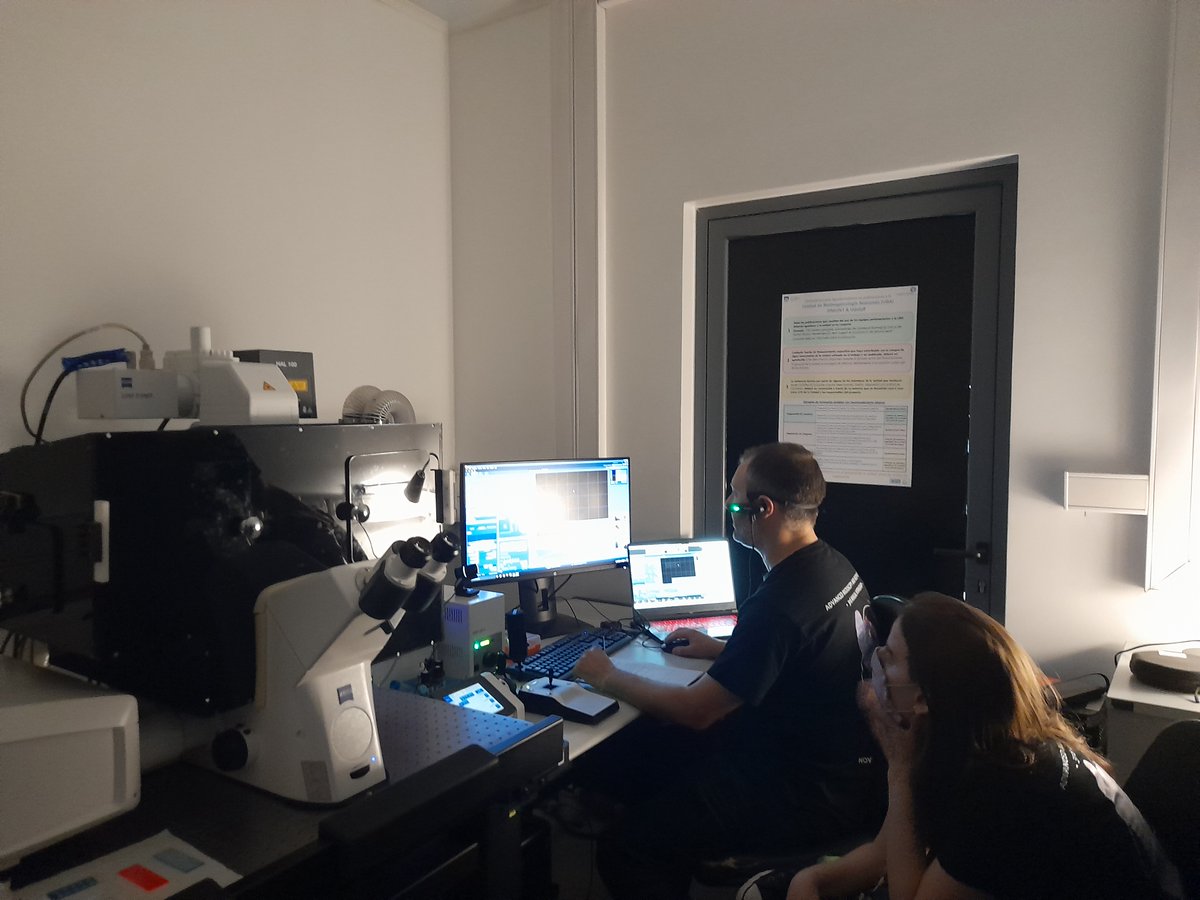 belen_ben843's tweet photo. Very happy to have participated in the 3rd Workshop on Advanced Microscopy and Biophotonics. Amazing international speakers with the latest news on #FLIM #Phasors #FCS #DeepTissueImaging #FRET.
Thanks @MalacridaLab, @advanced_unit, @hcmquintela and @IPMontevideo
by organization. https://t.co/GEja26qwf8