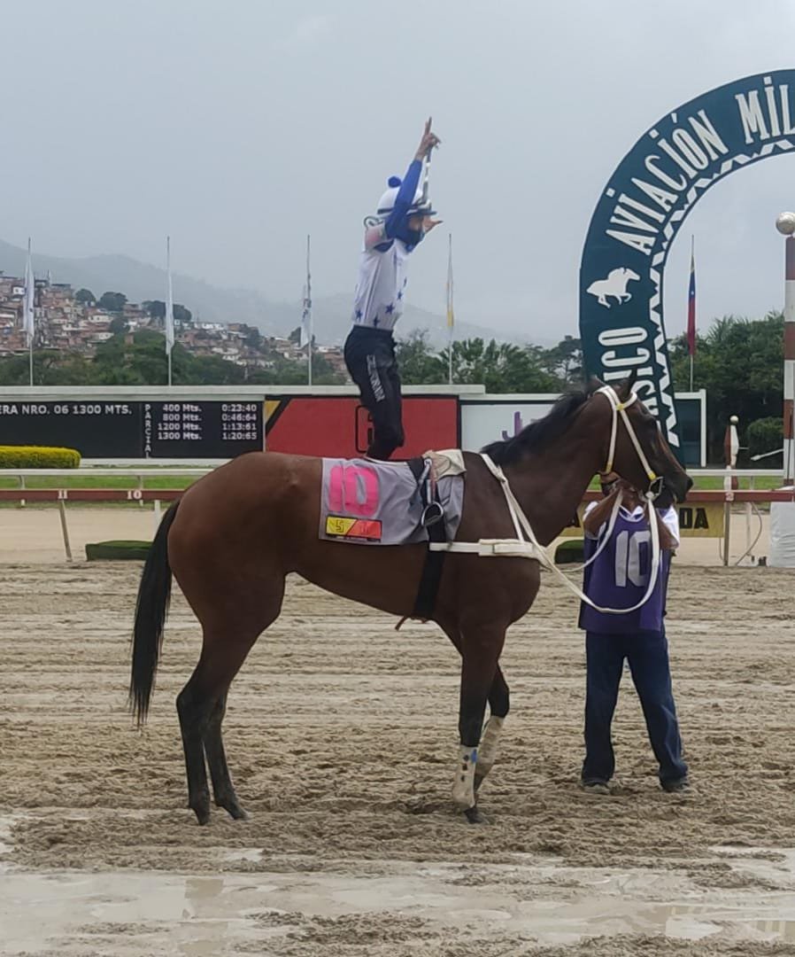 pinocahipico's tweet photo. Buen día Pinoqueros. Muchas Bendiciones.

Tomen nota:
#MaxSecurity me luce superior debe ganar de extremo a extremo

En la de cierre vamos a cobrar un buen dívidendo con #KayserBarcelona que luce una buena condición y ajusto excelente
Suerte
#LaRinconada

Contacto
+58426 357 5409 https://t.co/rRSsIaojDg