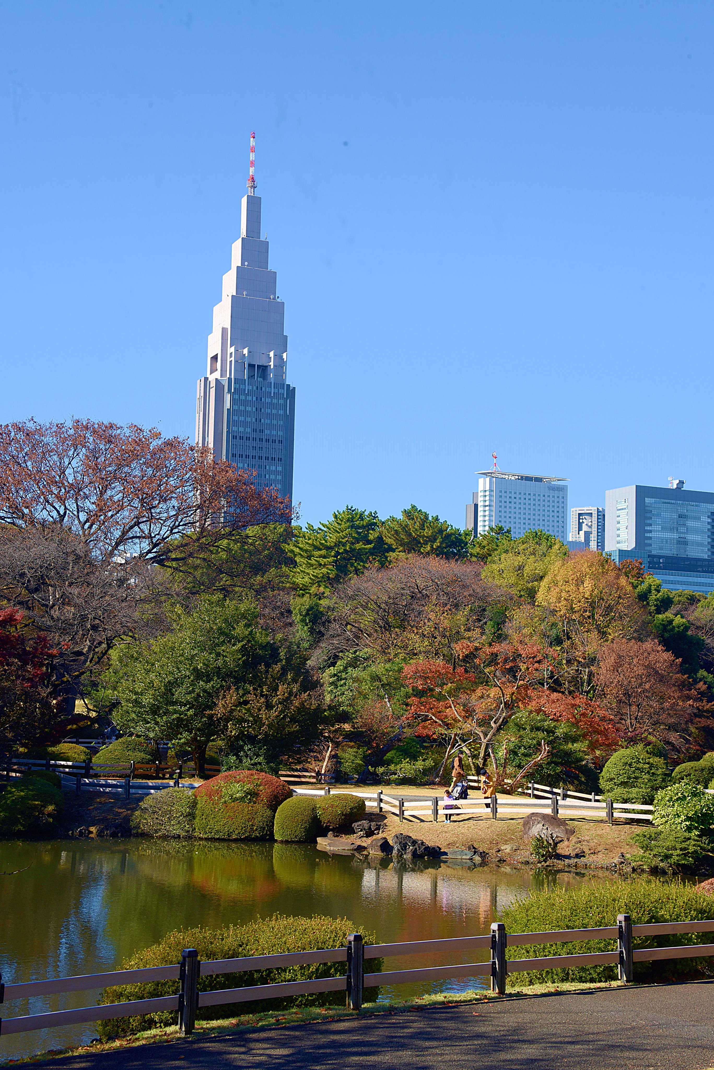 武居 温 新宿御苑紅葉 紅葉とnttドコモ代々木ビル ドコモタワー 21年11月25日撮影 T Co Q81wm8r6ow Twitter