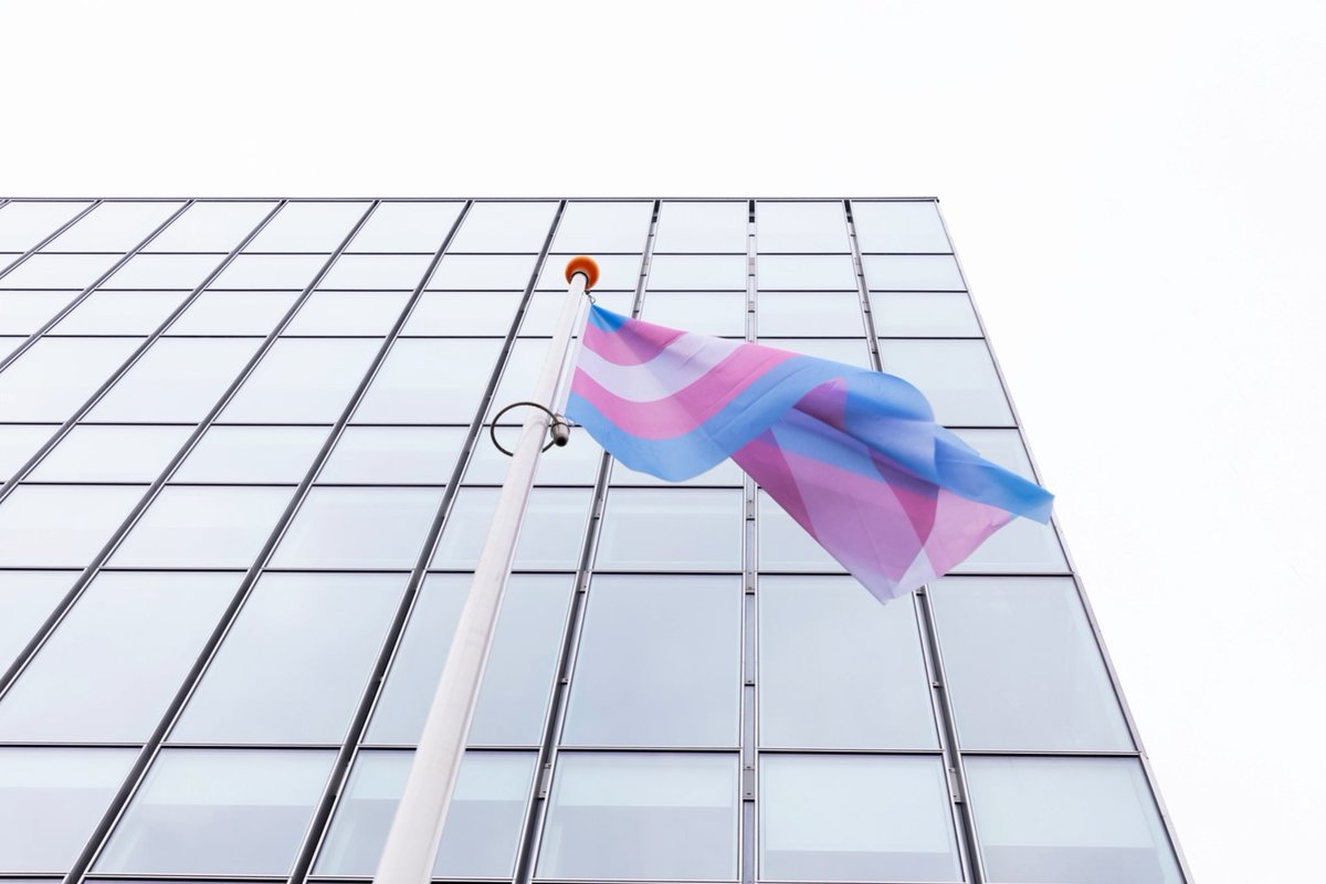 De minister van <a href="/minOCW/">Ministerie van Onderwijs, Cultuur en Wetenschap</a> brengt namens het kabinet erkenning en excuses aan de Transgender- en Intersekse gemeenschap voor het leed dat de Transgenderwet heeft veroorzaakt. Daarom wappert vandaag op rijksgebouwen en bij BZ de Transgender- en Intersekse vlag
rijksoverheid.nl/actueel/nieuws…