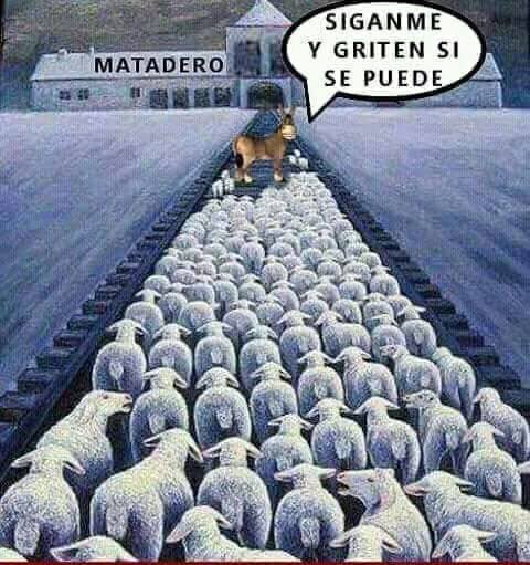 DonPorfifirio's tweet photo. Cualquier parecido a la realidad no es pura coincidencia. ✍️🧐 https://t.co/dEIYUVbWKr