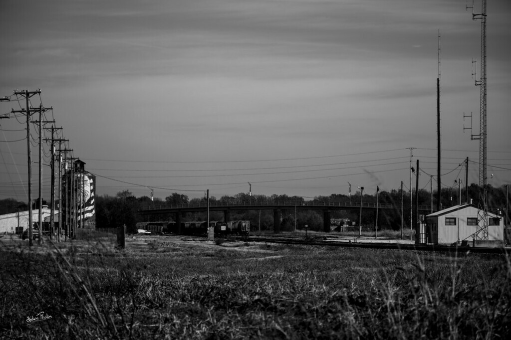PhotosSikes's tweet photo. Train Station Monett, Missouri
#raw_bnw #raw_community #trainstation #bnwfineart #bnw #bnwmood https://t.co/8UsVKXWEka https://t.co/mYAIJxJi0T