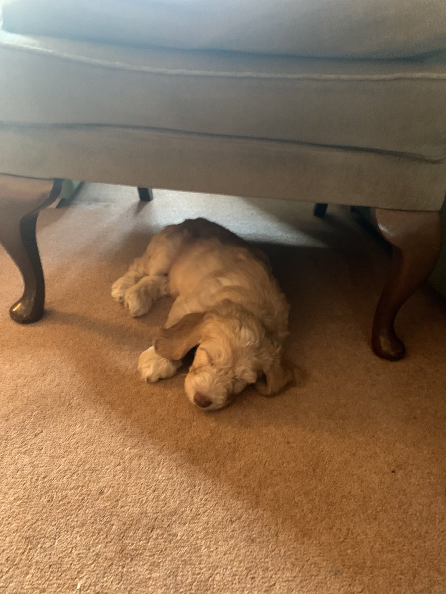 Olivia Henry tweet media