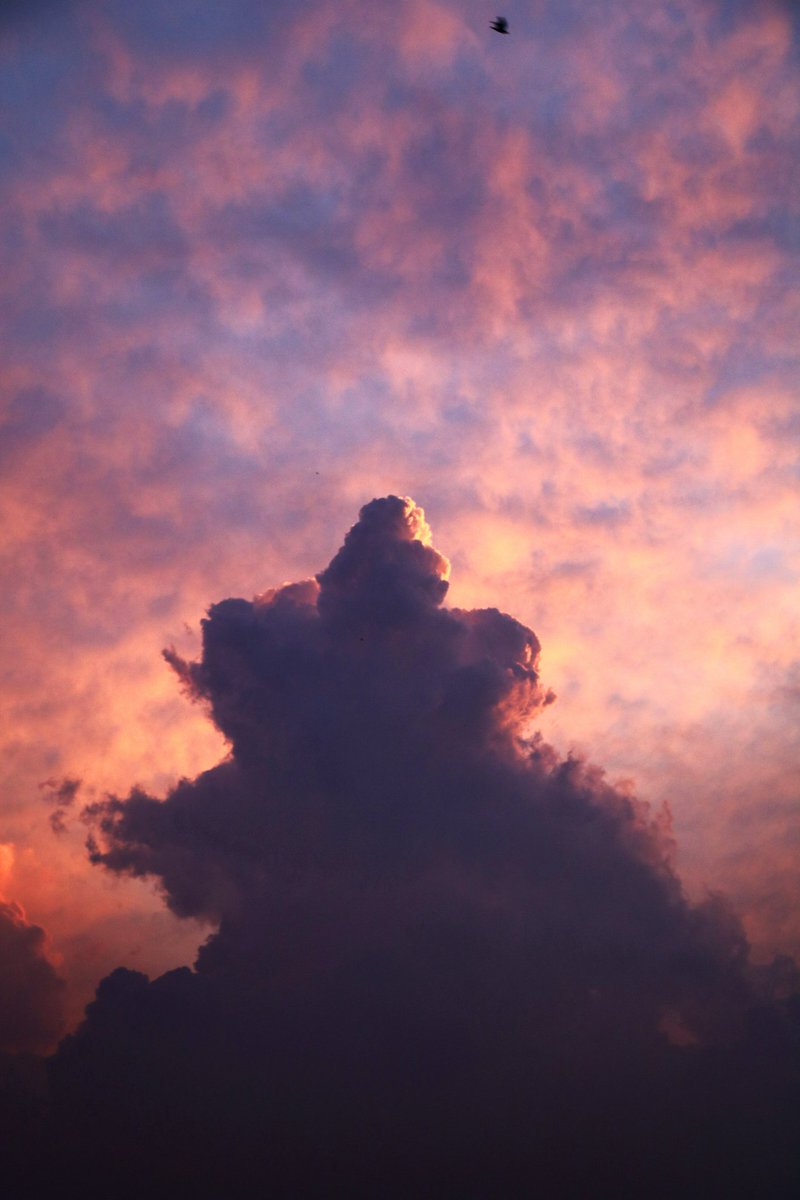 aestheticspost_'s tweet photo. In love with the sky https://t.co/FwJG1fffto