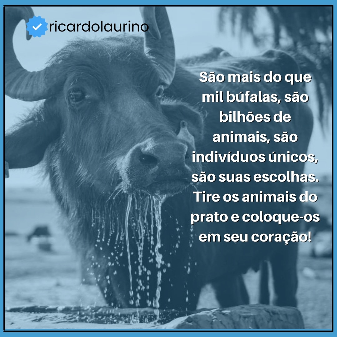 LaurinoRicardo's tweet photo. #bufalas
Sobre mil, sobre bilhões, sobre respeitarmos amplamente cada um deles https://t.co/mKqGLsXMWF