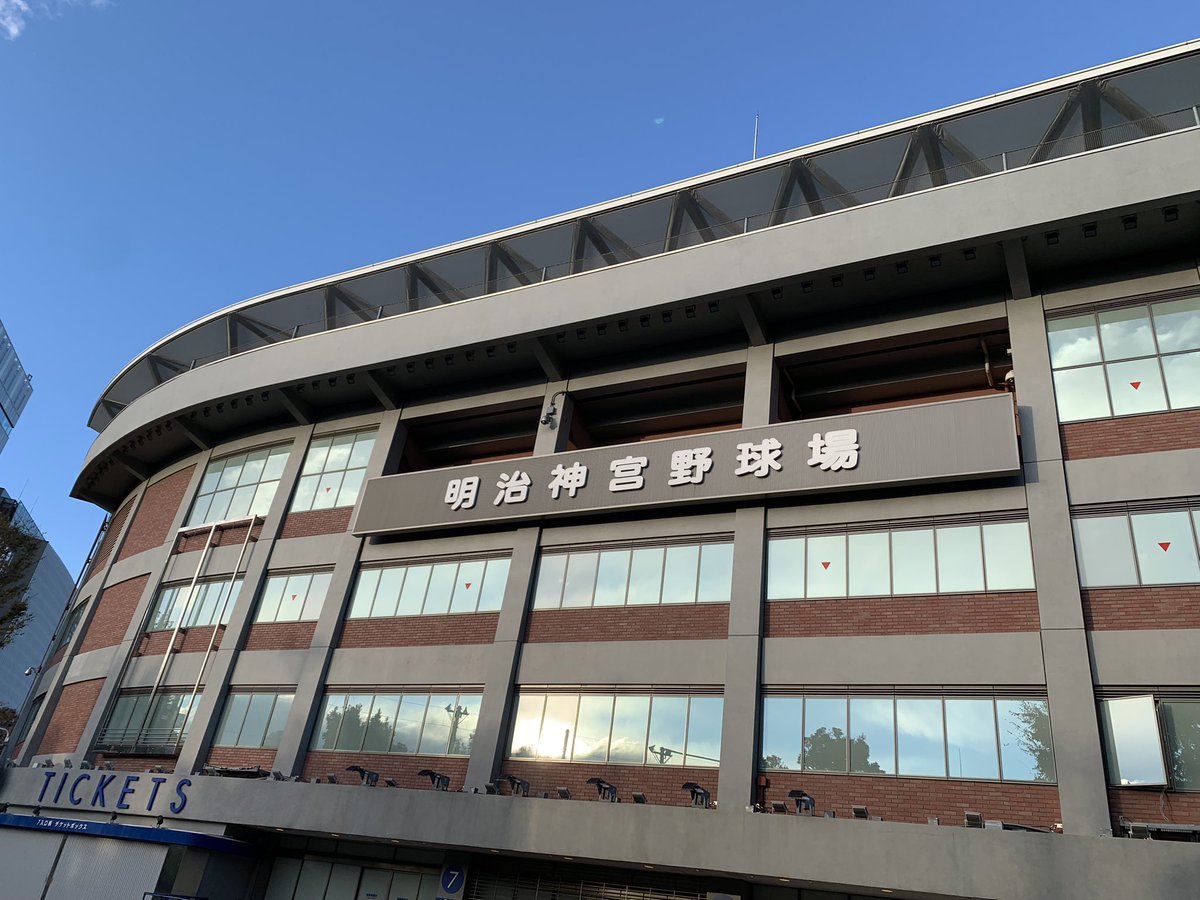 giveggive's tweet photo. 今日優勝すると思って明治神宮といちょう祈ってきた。
おめでとうございます。
これがプロフェッショナルか、と思わされたシリーズでした。

#日本シリーズ 
#ヤクルト https://t.co/xejAsmigCH