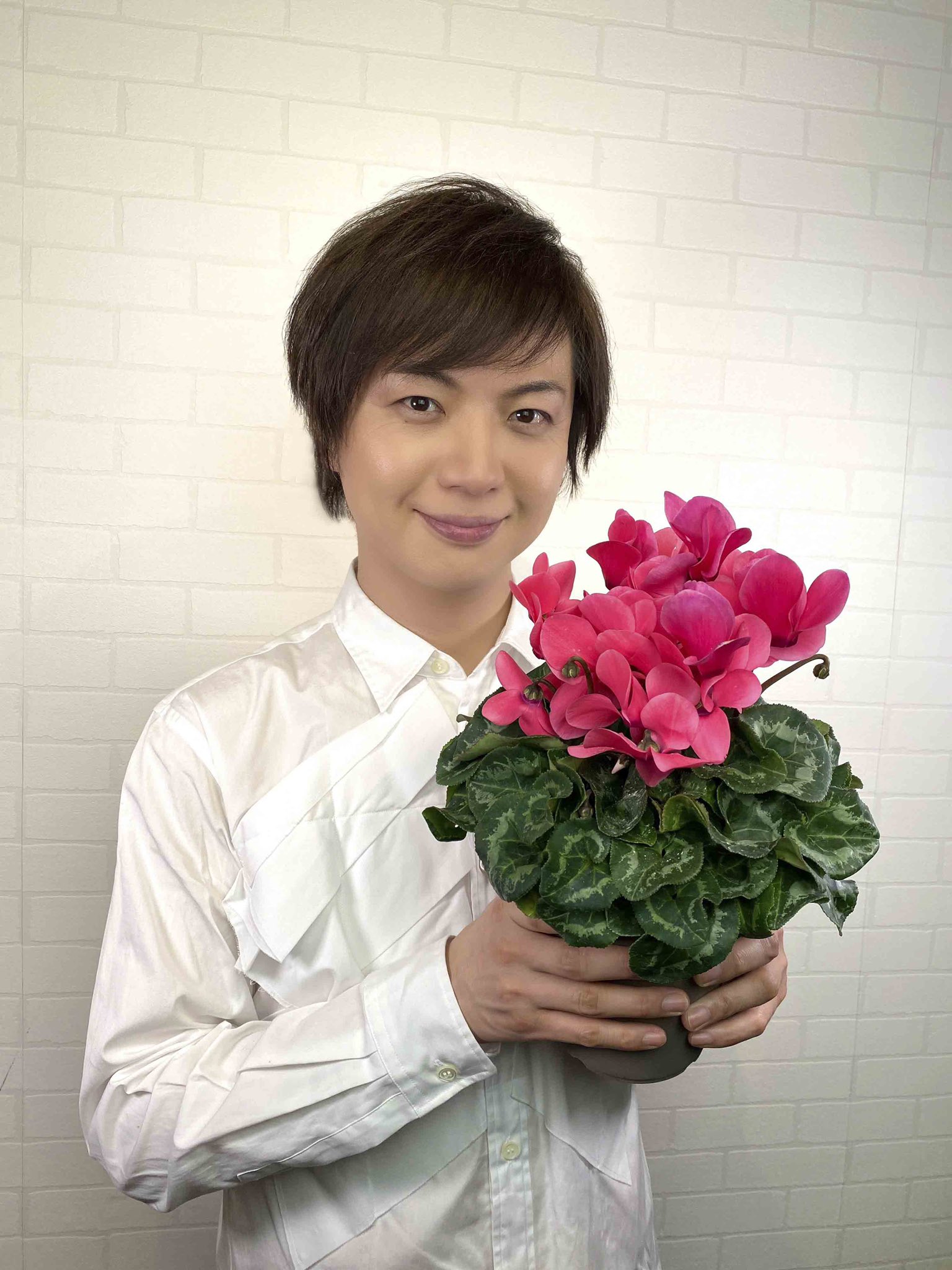 水引草 Takeshima Staff 花言葉 はにかみ 力強く息長く咲いてくれますね 好きな花です 関西も冷えました 明日も頑張ります ひろネット 竹島宏 花言葉 花便り シクラメン はにかみ 冬本番 T Co Zmzz3omtyd Twitter