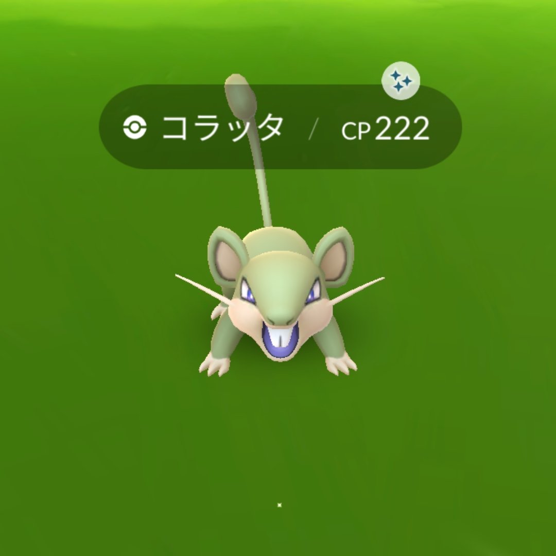 Momomomomomomo 昨日のスポットライトアワーにて 持っていなかった緑コラッタ 会社のお昼休みにどれくらいできるか実験してみた 捕獲100体ぐらいでした タップだけならもう少し伸ばせるか 月曜の本命ダンバルは光ってくれるかな ポケモンgo コラッタ