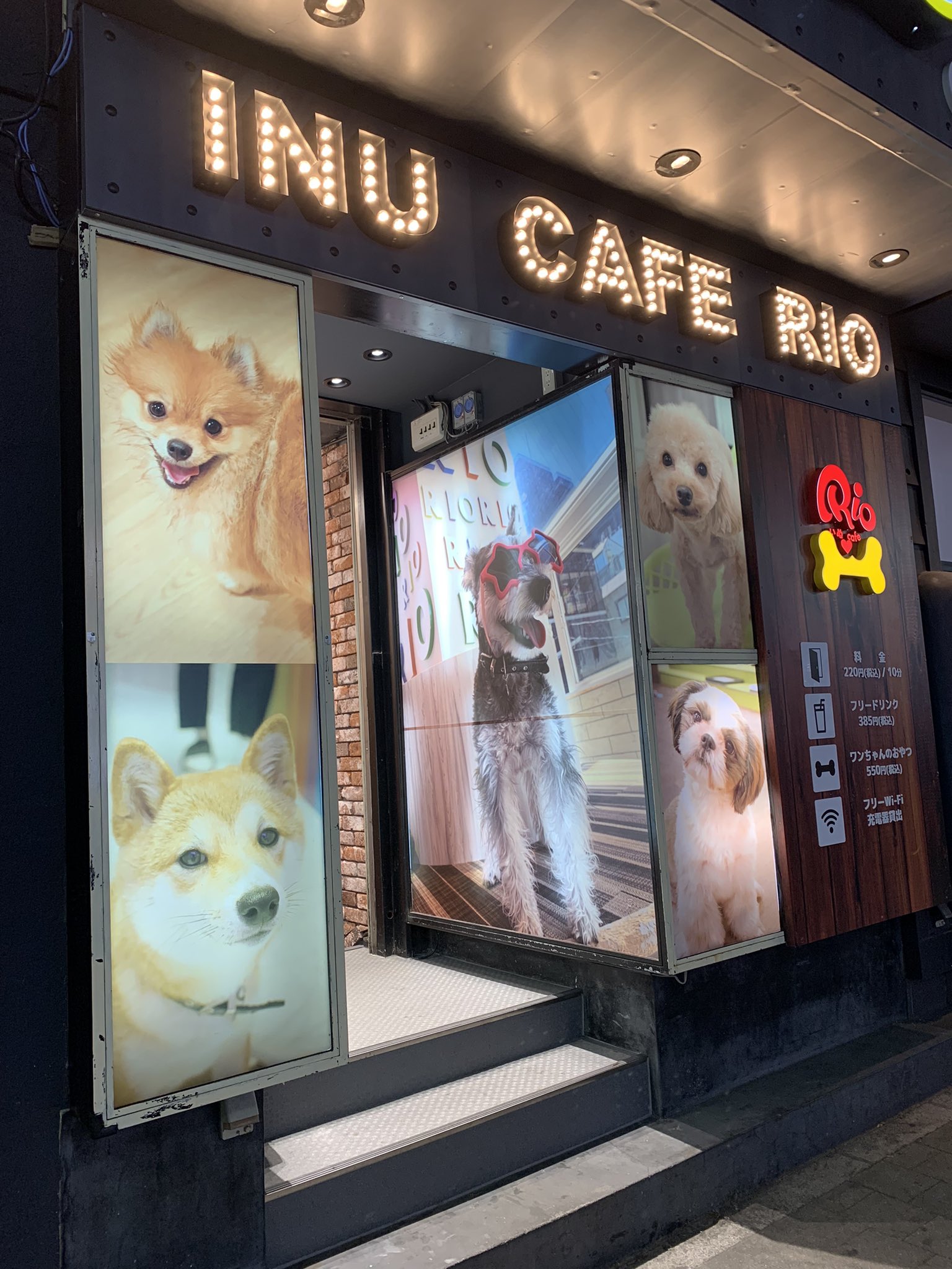 犬カフェrio Twitter Search Twitter