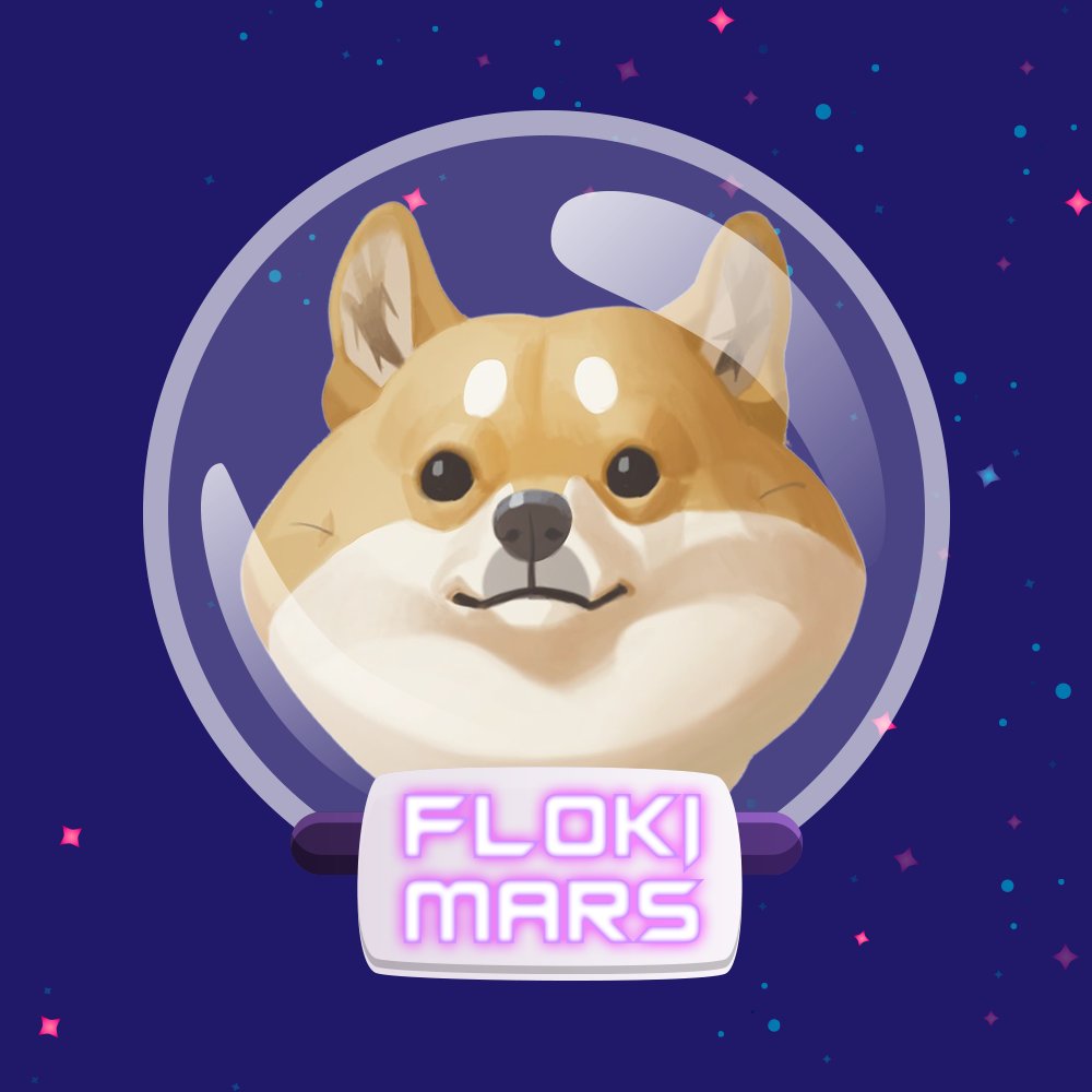 flokimars_space's tweet photo. Rocket FLOKIMARS is the world's first BSC token that cannot return to earthRocket

We are very happy to announce that our presale will be held on PinkSale 

Stay tuned for more information about our presale Rocket https://t.co/wwiU1gOJpx