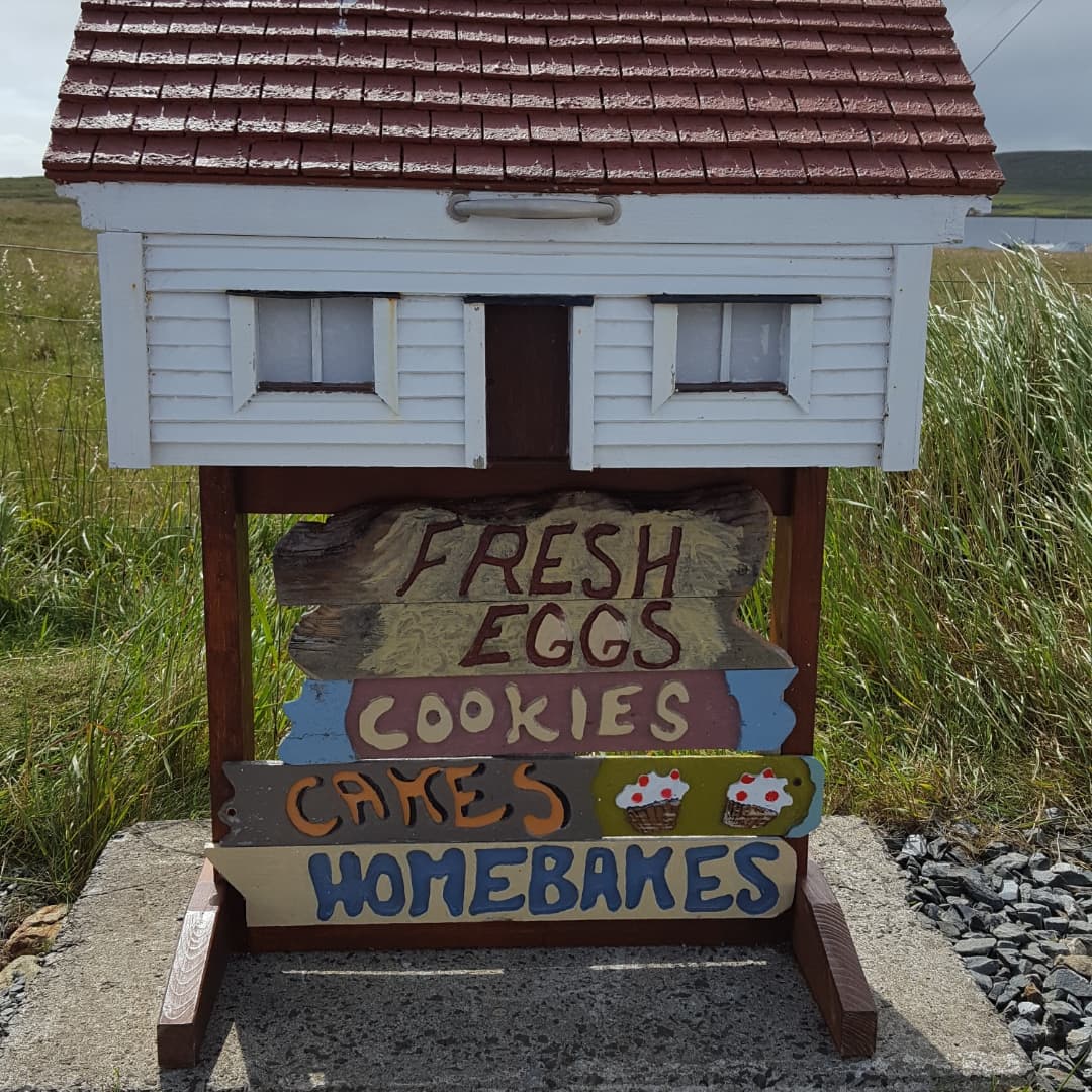 The Unst bus shelter #Shetland where waiting for the bus is an experience itself. Keep up with current events, read a book or two, keep an eye on the time. Buy some fresh eggs and homebakes from the honesty box all while you wait 🤗😍 #Promoteshetland #visitshetland #busshelter