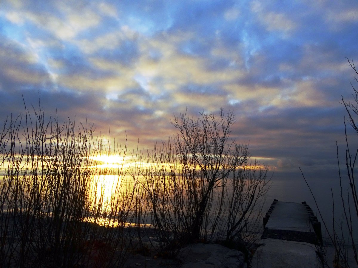 DaphneLHunt1's tweet photo. #Sunrise #TheSunriseProject #TOBeach #Toronto #LakeOntario #TorontoLakefront #FeatheredFriends #DuckDuckGoose 1/2 https://t.co/MKfKYvB2up