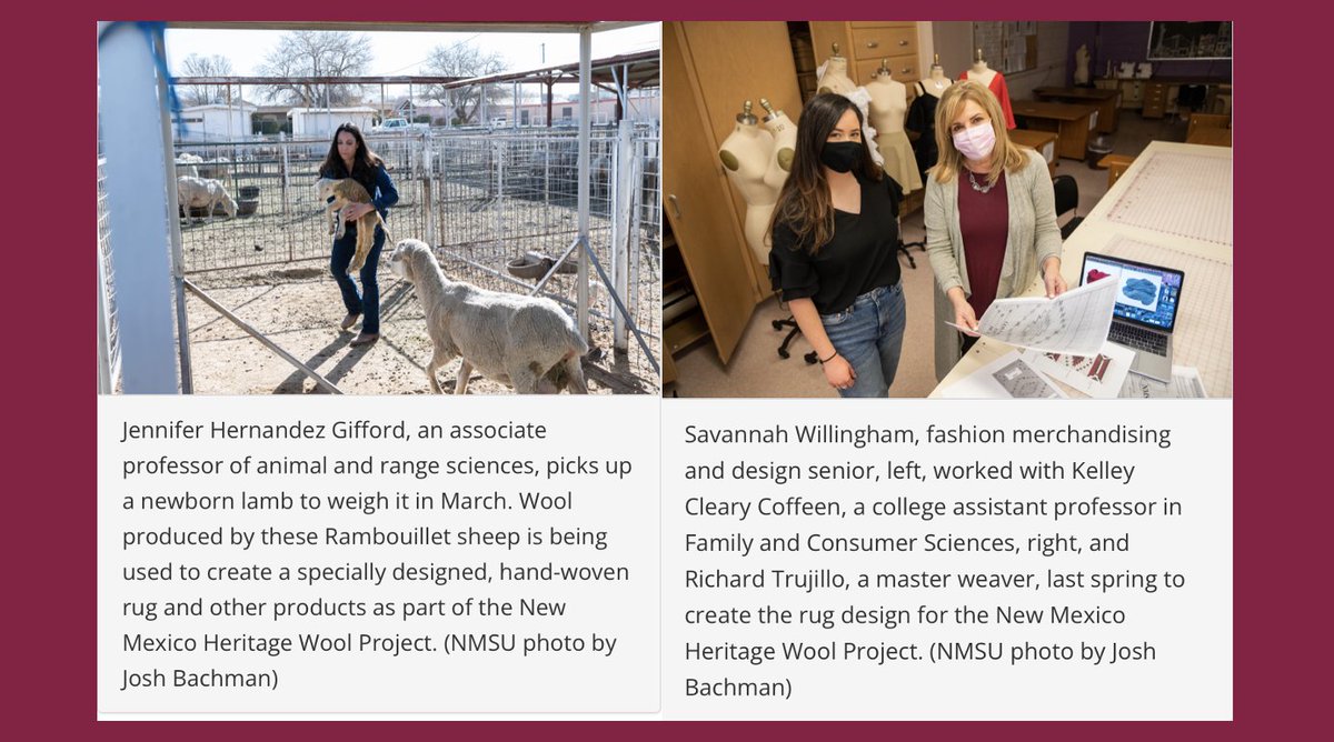 NMSUVPR's tweet photo. Faculty and students @nmsu_aces and master weaver, Richard Trujillo, work with the New Mexico Heritage Wool Project. Read more at https://t.co/LBn6icbFNS. #ElevateResearch #ElevateCreativity. https://t.co/fNgqxGVe1v