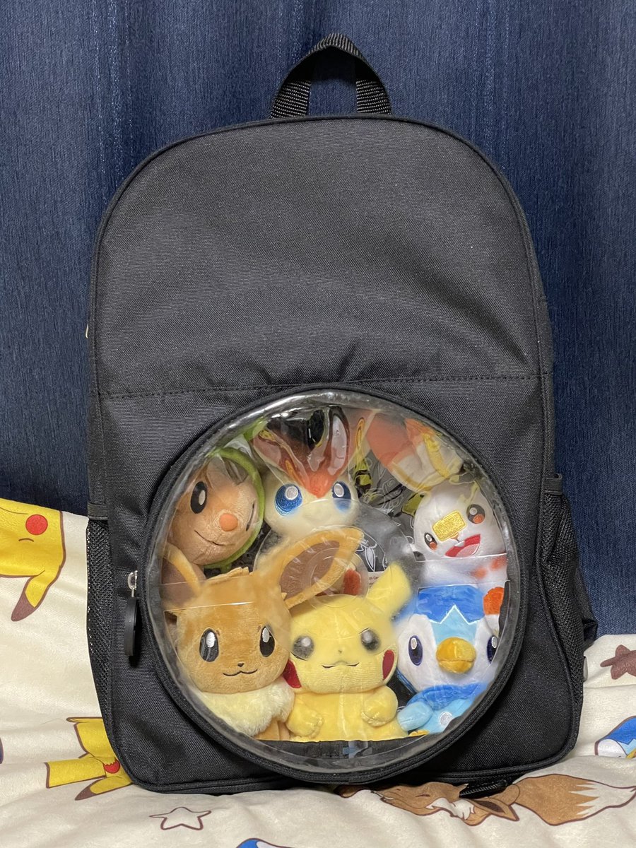 連れ歩きリュックに好きなポケモンのぬいぐるみを入れてみました。