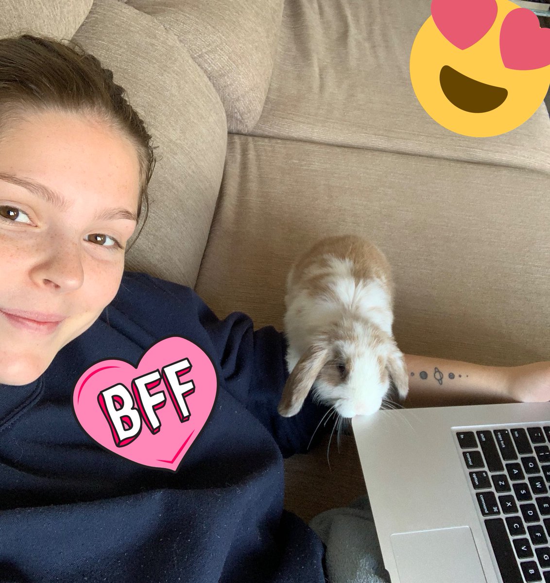 AnnabelAtDeakin's tweet photo. Anyone else finalising their #WordPressDesign ?!?! I have the best little helper ☺️🐰 #ALM101 https://t.co/5SXt2cGkDs