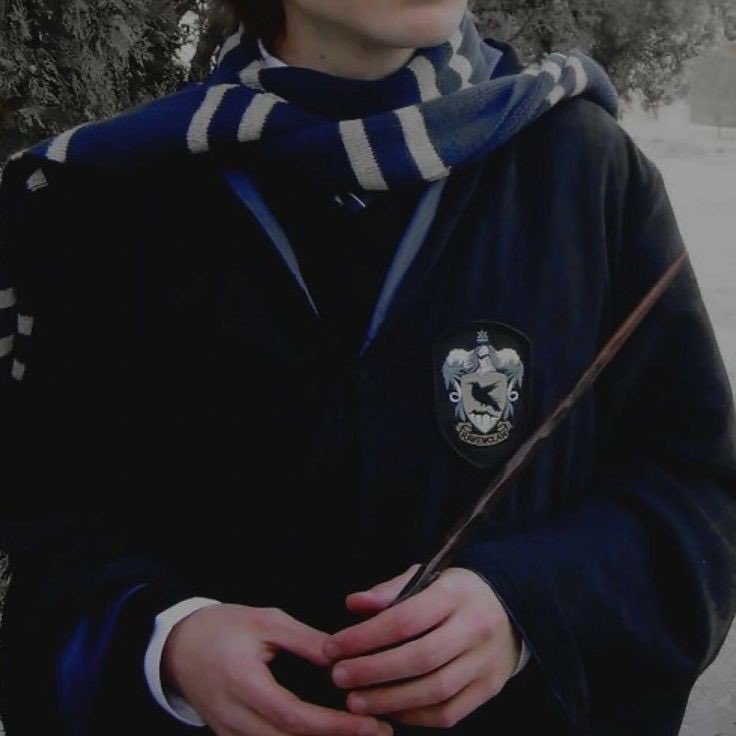 _dear_readerr's tweet photo. nada não gente, só pra mostrar msm a melhor casa de Hogwarts 

 #Ravenclaw https://t.co/xMm1gRuASY
