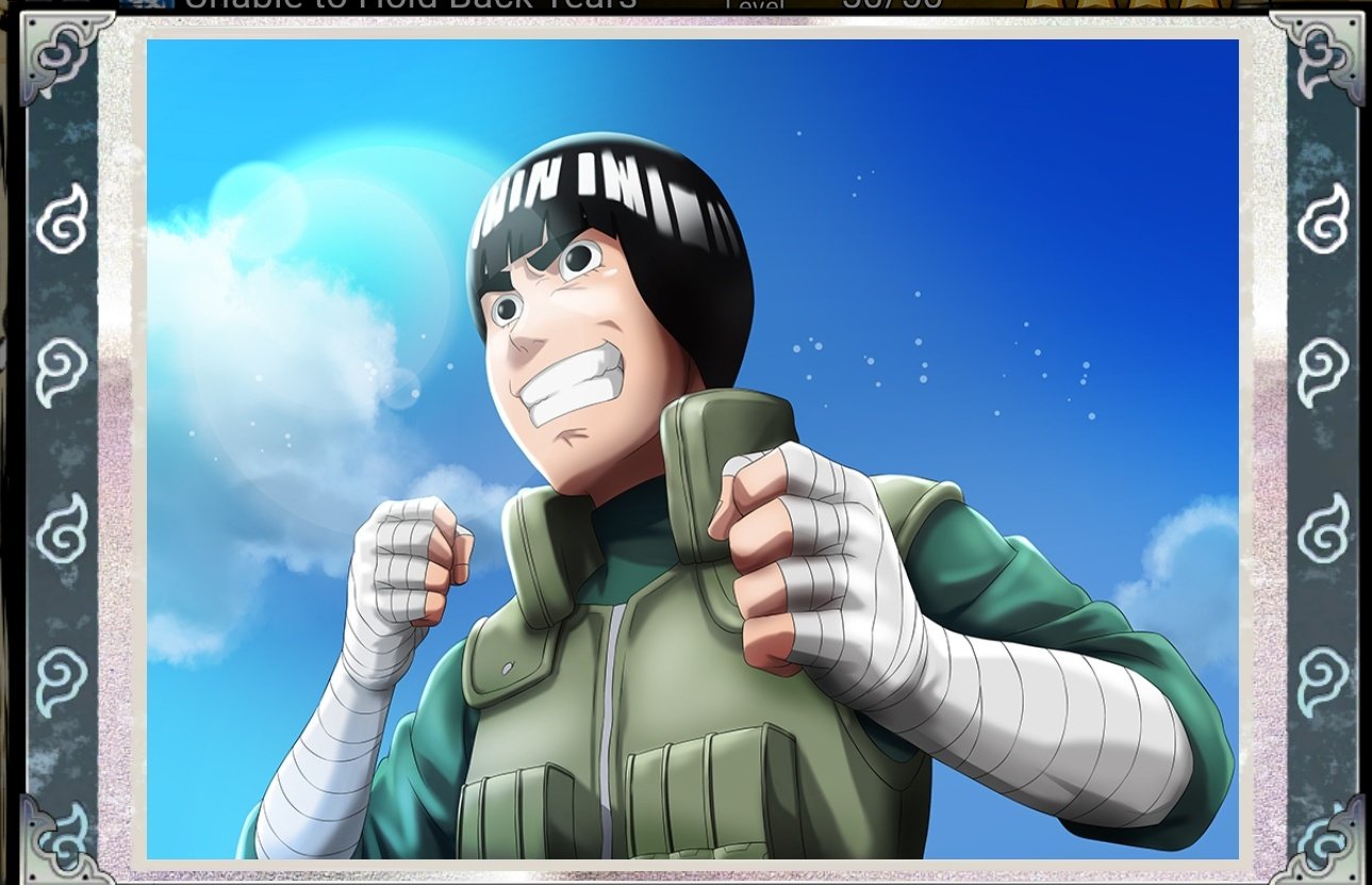 HAPPY BIRTHDAY  ROCK LEE  