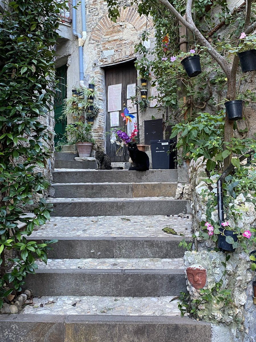 silvia_stones's tweet photo. Scorci di #Toffia (RI) con… abitanti in posa 🐱😍
#borghiitaliani #lazio #visitlazio #provinciadirieti @visit_lazio #LazioIsMe #best_italiansites #italianvillages #postcardsfromtheworld #italytrip #borghiviaggioitaliano #beautifuldestinations #livetravelchannel https://t.co/qxegRiUJc6
