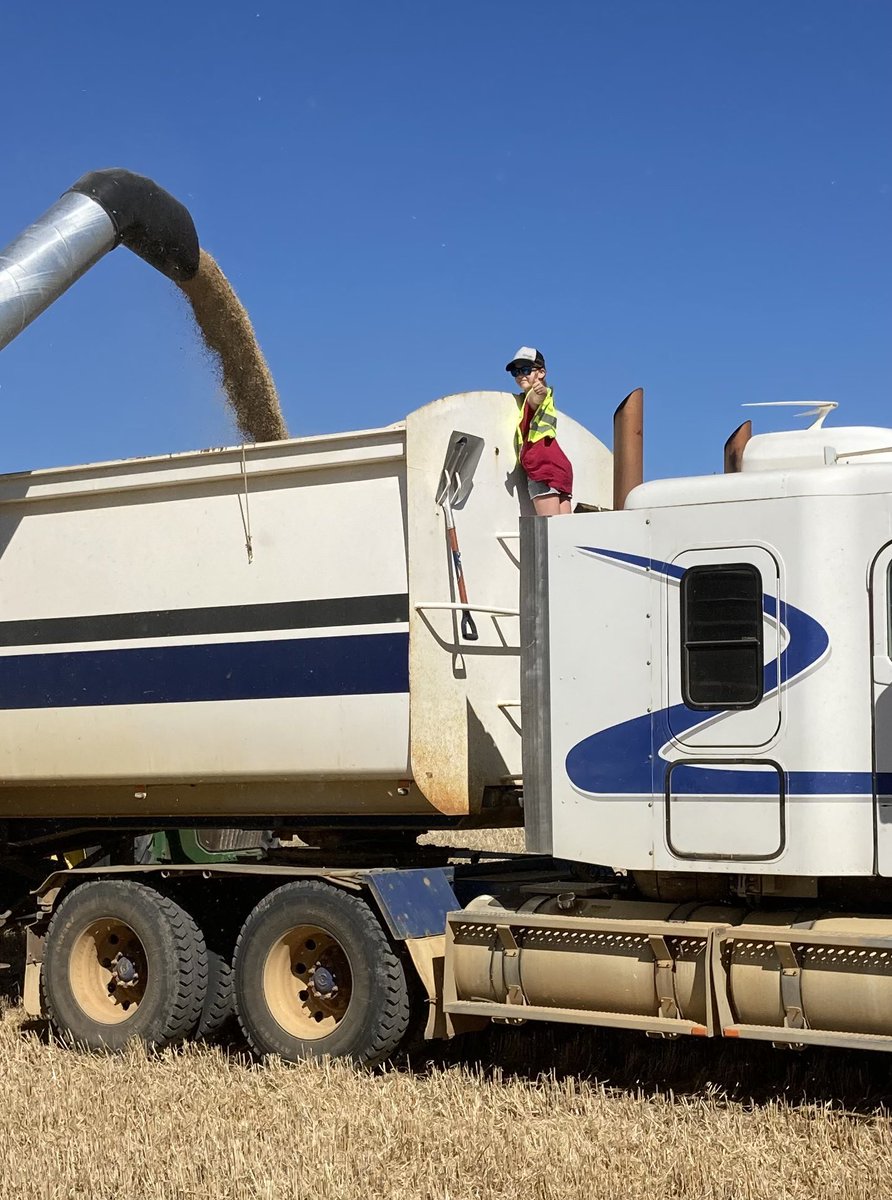 ⁦<a href="/Kalganbreamfarm/">Stuart Bee</a>⁩ #automaticfiller #nocamaras #smokefumesareok