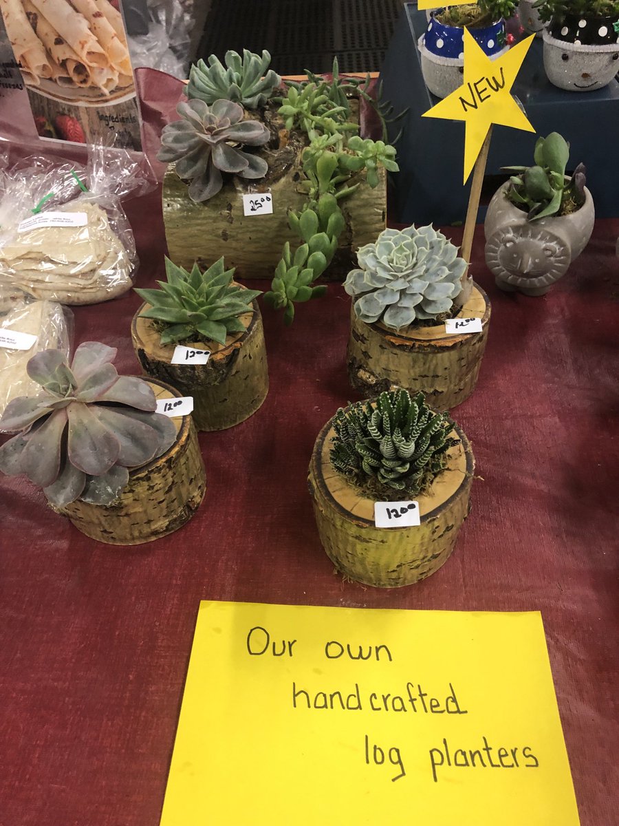 Maplewood Acres tweet media