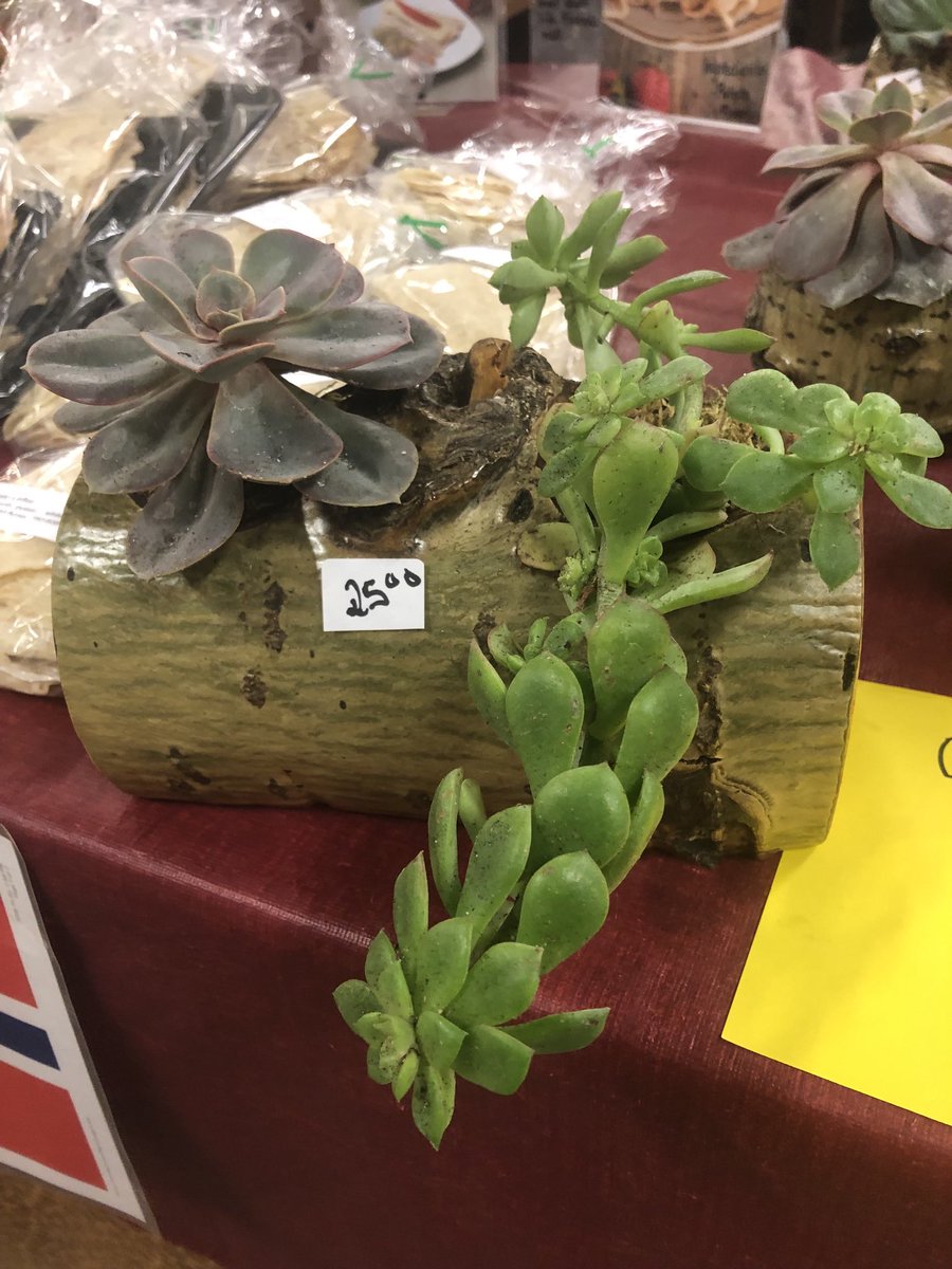 Maplewood Acres tweet media