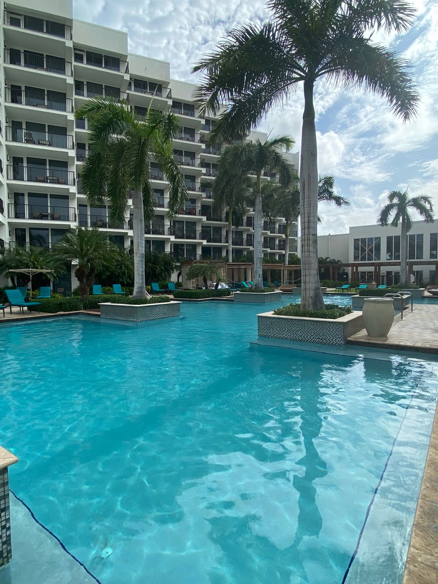 arubamarriott's tweet image. Adult pool vibes: tranquility meets oasis 😍🌴 #arubamarriott
.
.
#aruba #adultpool #saturdayvibes #poolday #travelphotography #potd