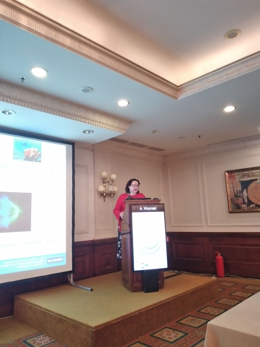 GreekSarc's tweet photo. Research in sarcomas #4thMasterclass @DrCeSarcoma @KokkaliStefania @AgaWozniak1 https://t.co/7xReXRrSzB