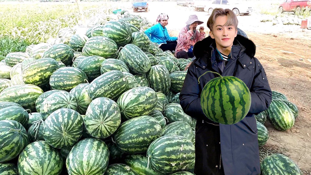 แตงโม แตงโม่ แตงโม~ 🍉 จริง ๆ แล้วผมเป็นประธานสมาคมแตงโมแห่งชาติ

1 รีทวิต = แตงโม 1 ลูก สนับสนุนมาร์คกันเยอะ ๆ นะครับ

#MAMAVOTE #nct127