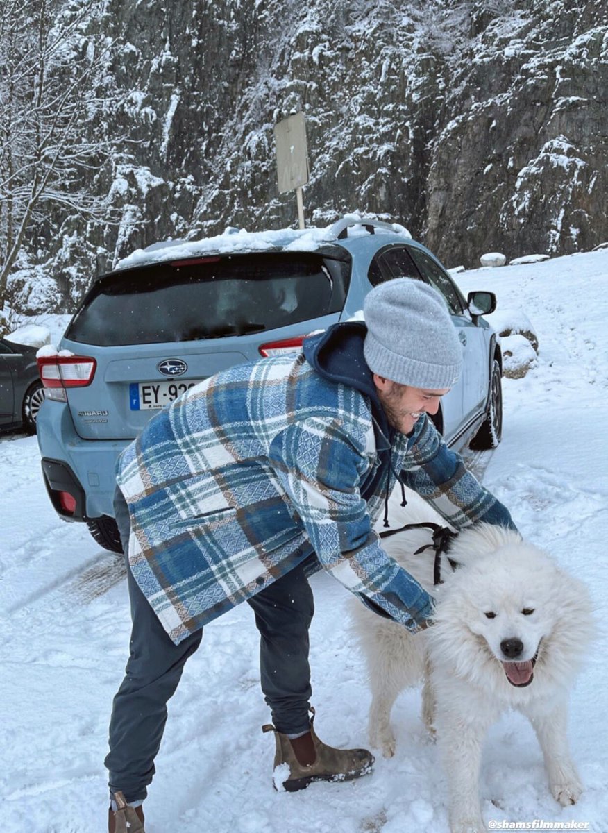 chowediscn's tweet photo. Chowen + dogs + snow = 🏘️ https://t.co/wFzz1ATpAR