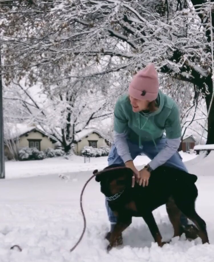 chowediscn's tweet photo. Chowen + dogs + snow = 🏘️ https://t.co/wFzz1ATpAR
