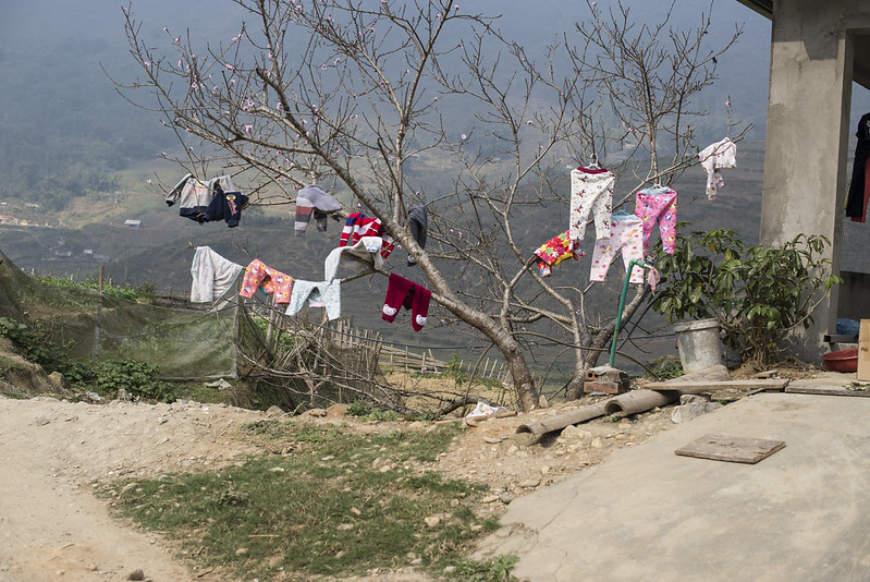 Lolagars's tweet photo. Experimentando... 🎥🎨🌏 Durante 5 años hice fotos de ropa tendida en 7 países de #Asia. El resultado es #LaPercha, un viaje colorido para un sábado de lluvia:
🎥 https://t.co/1PdQcM4cUS
#lecintre #hanger #travel https://t.co/hIMeexAVhm