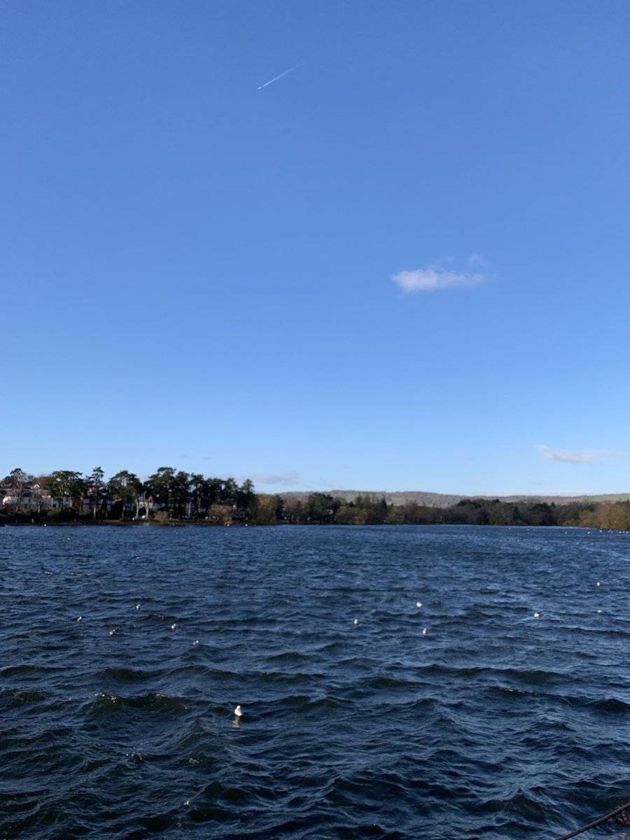 snowybadman's tweet photo. #stormarwen Another cold but crisp day around #roathpark. #cardiff #lovethediff https://t.co/D2jtLeWISc