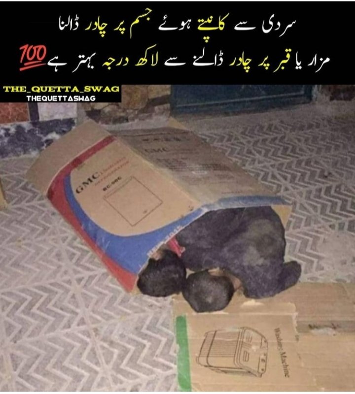 Ayesha586214's tweet photo. #savehumainty https://t.co/JXUp6IFRk0