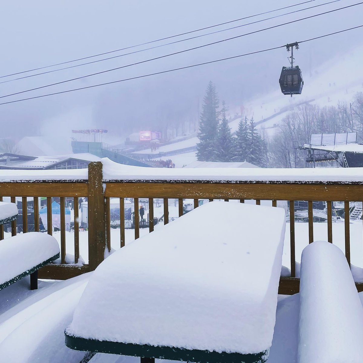 tomwinter tweet media